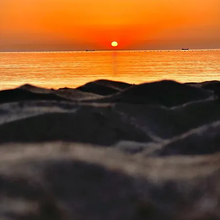 Bed & Breakfast Orange Coast *